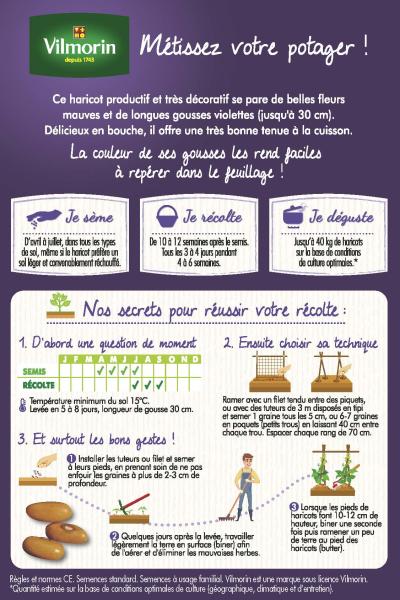 Légumes Secs - Haricot Grimpant Violet Mélissa - 20 m - MEDIA_PACKAGING_VERSO